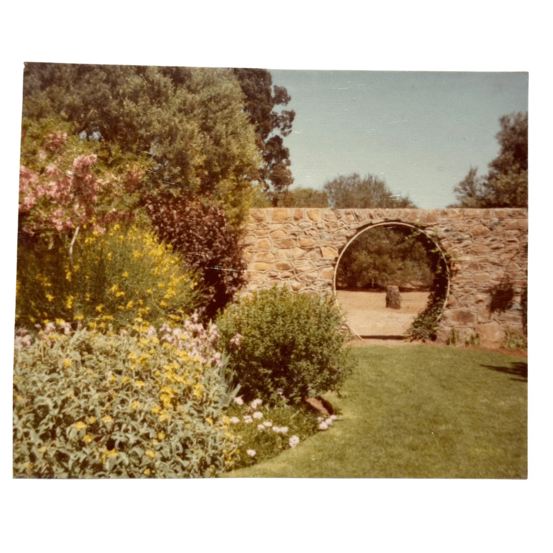 Haldon garden designed by Mimi du Plessis