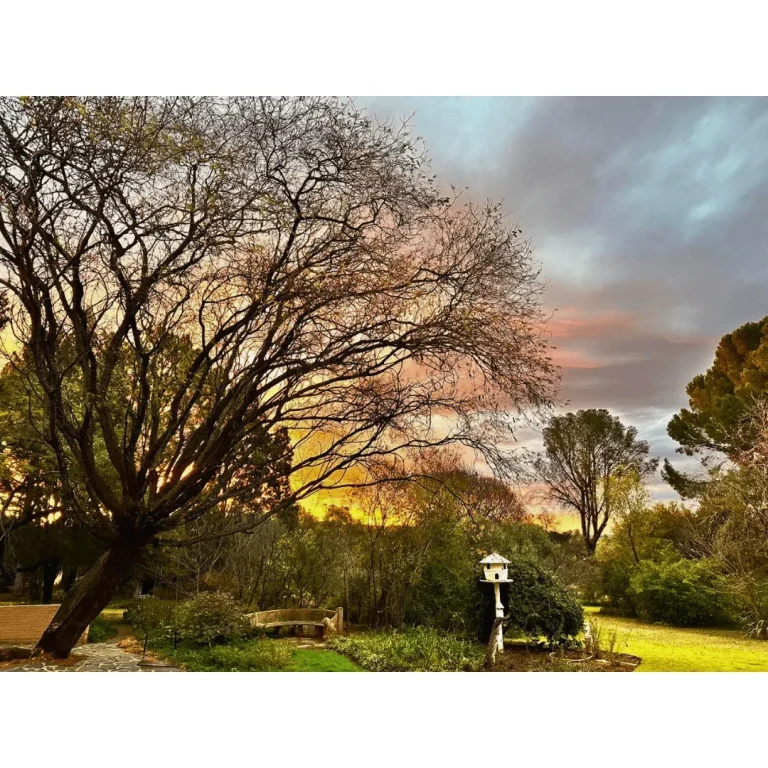 Haldon Estates garden on July 2023