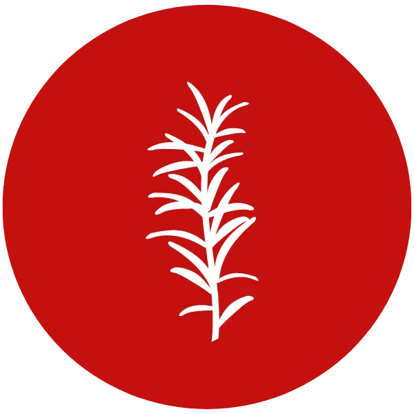 Rosemary