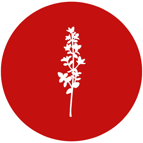 Thyme